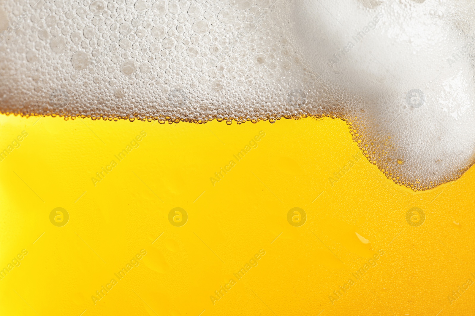 Photo of Glass of tasty beer with foam, closeup