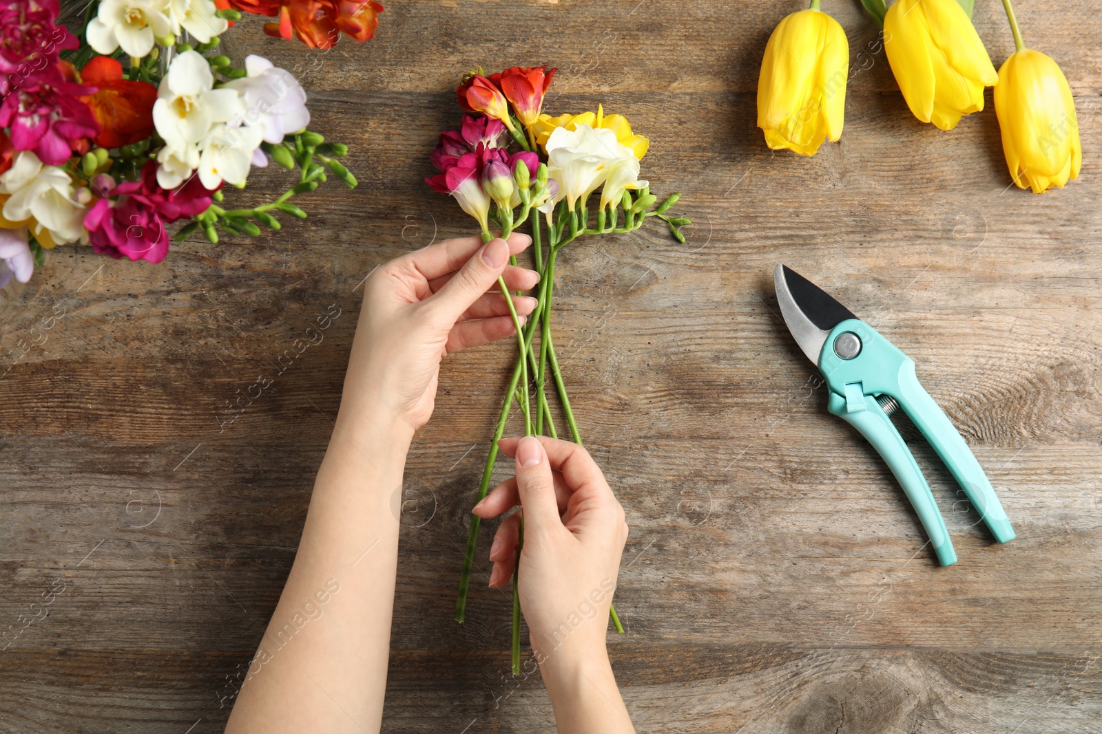 Photo of Woman making bouquet of freesia flowers at table, top view