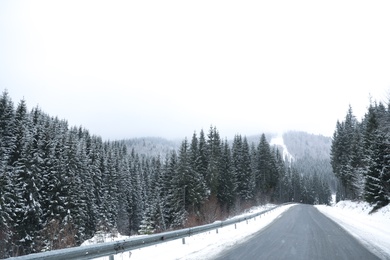 Beautiful landscape with conifer forest and road on snowy winter day