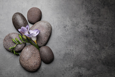 Photo of Spa stones and freesia flowers on grey table, flat lay. Space for text