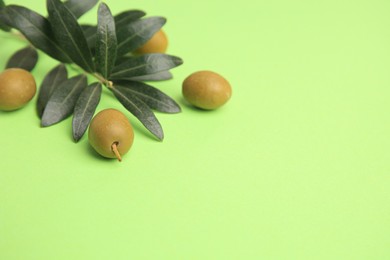 Fresh olives and leaves on light green background, closeup. Space for text