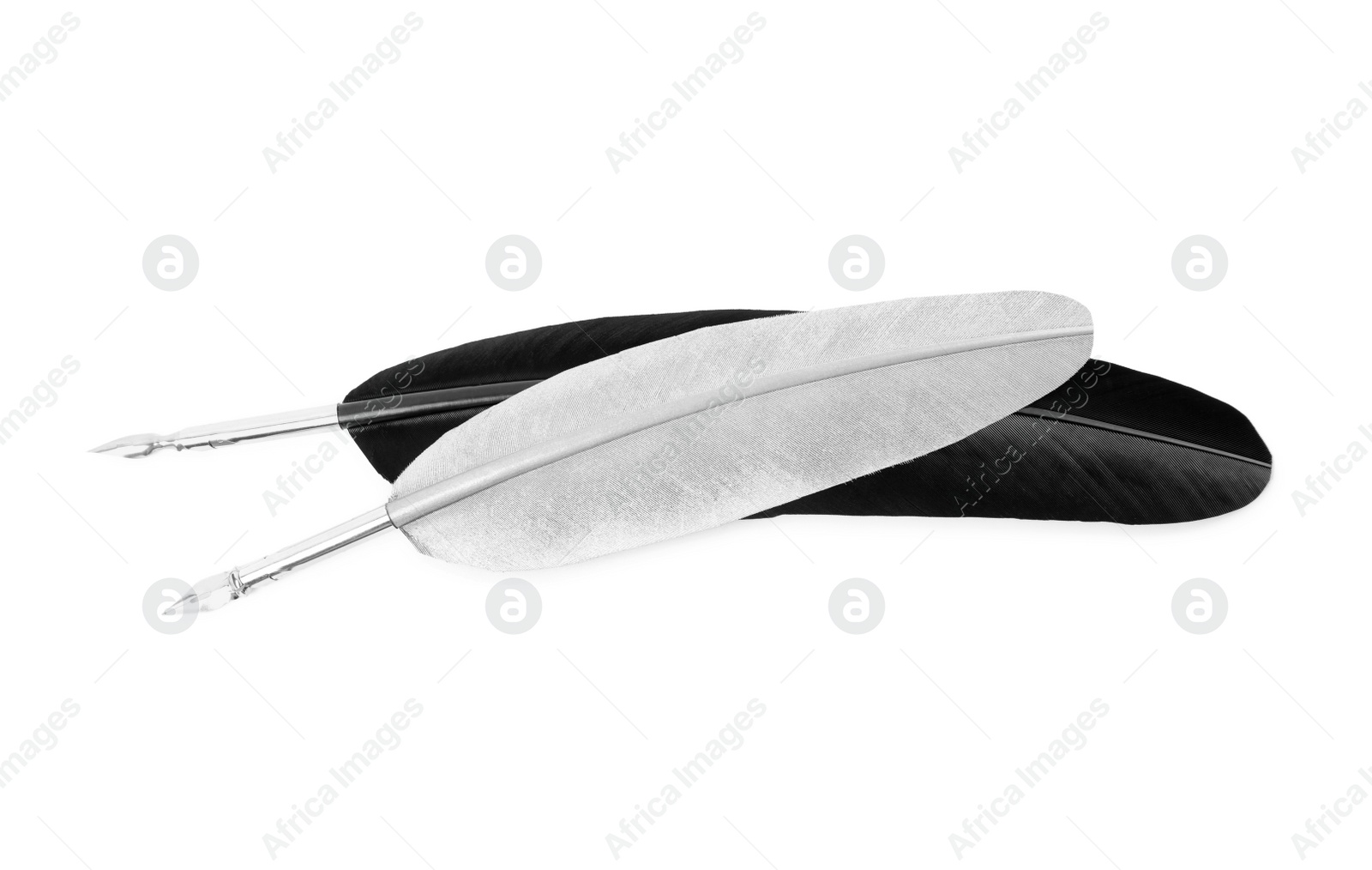 Photo of Feather pens on white background, top view