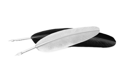 Photo of Feather pens on white background, top view