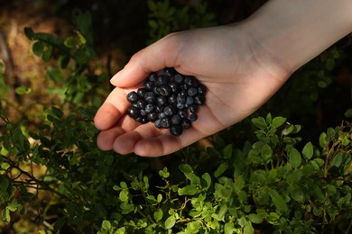 Photo of Woman holding bilberries outdoors, above view. Seasonal berries