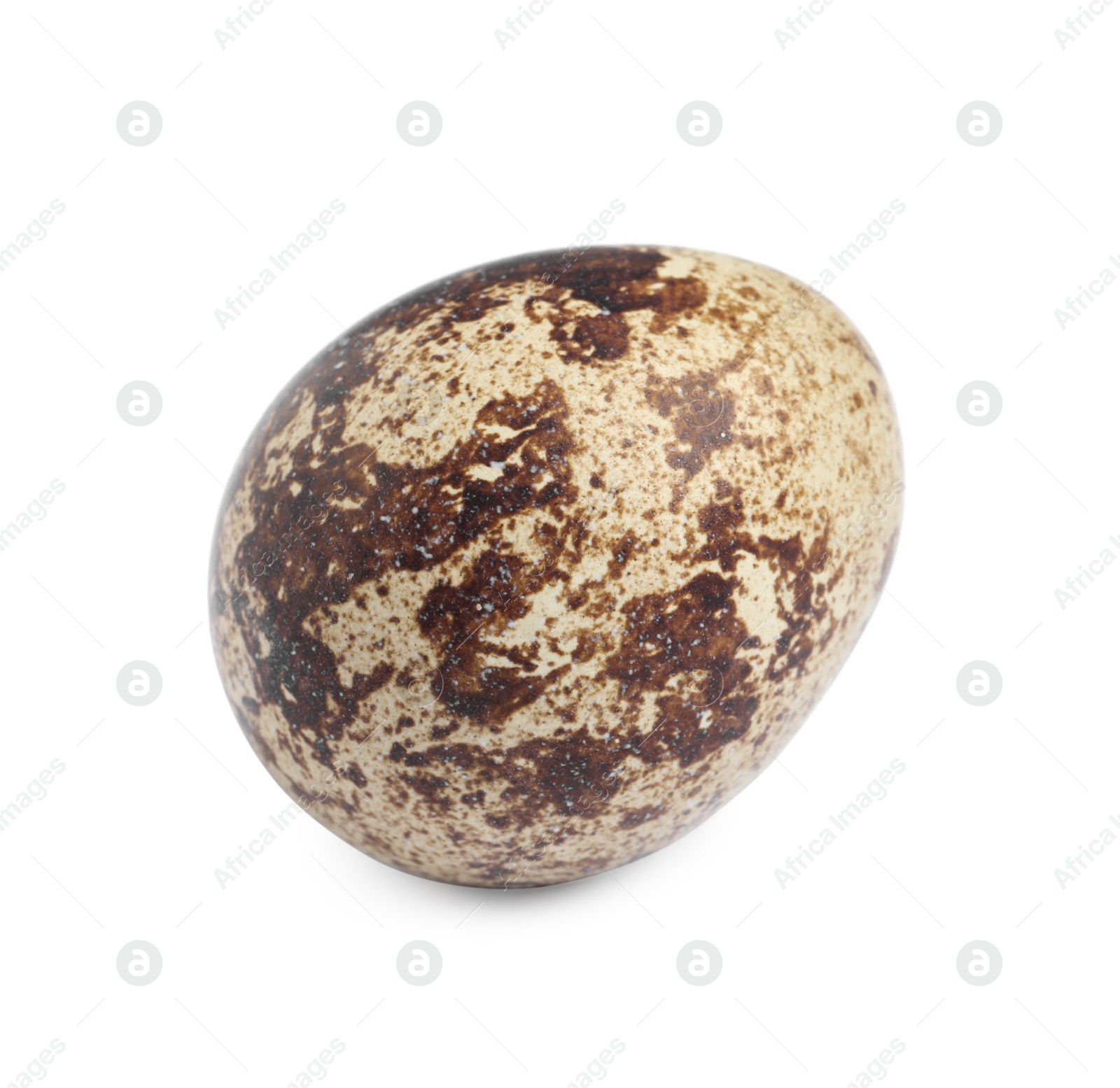 Photo of One beautiful quail egg isolated on white