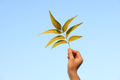 Photo of Woman holding twig with yellow leaves against blue sky, closeup