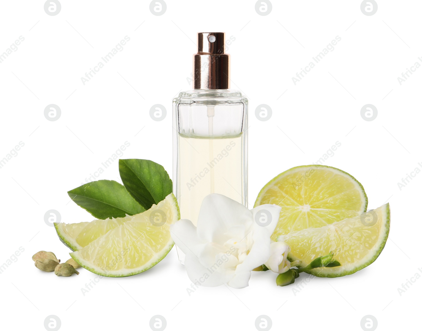 Photo of Bottle of perfume, lime, flower and cardamom on white background