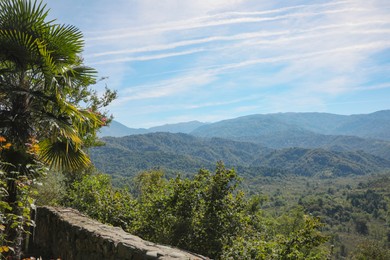 Beautiful mountain landscape with forest on sunny day