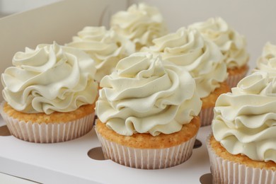 Photo of Tasty cupcakes with vanilla cream in box, closeup