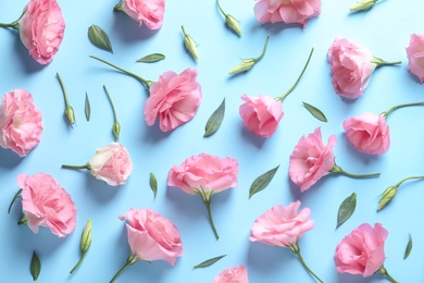 Photo of Flat lay composition with beautiful Eustoma flowers on color background