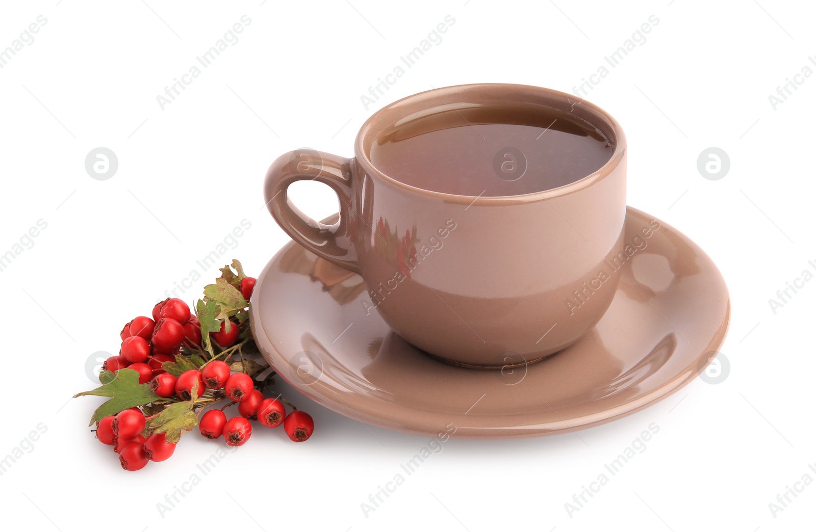 Photo of Aromatic hawthorn tea in cup and berries isolated on white