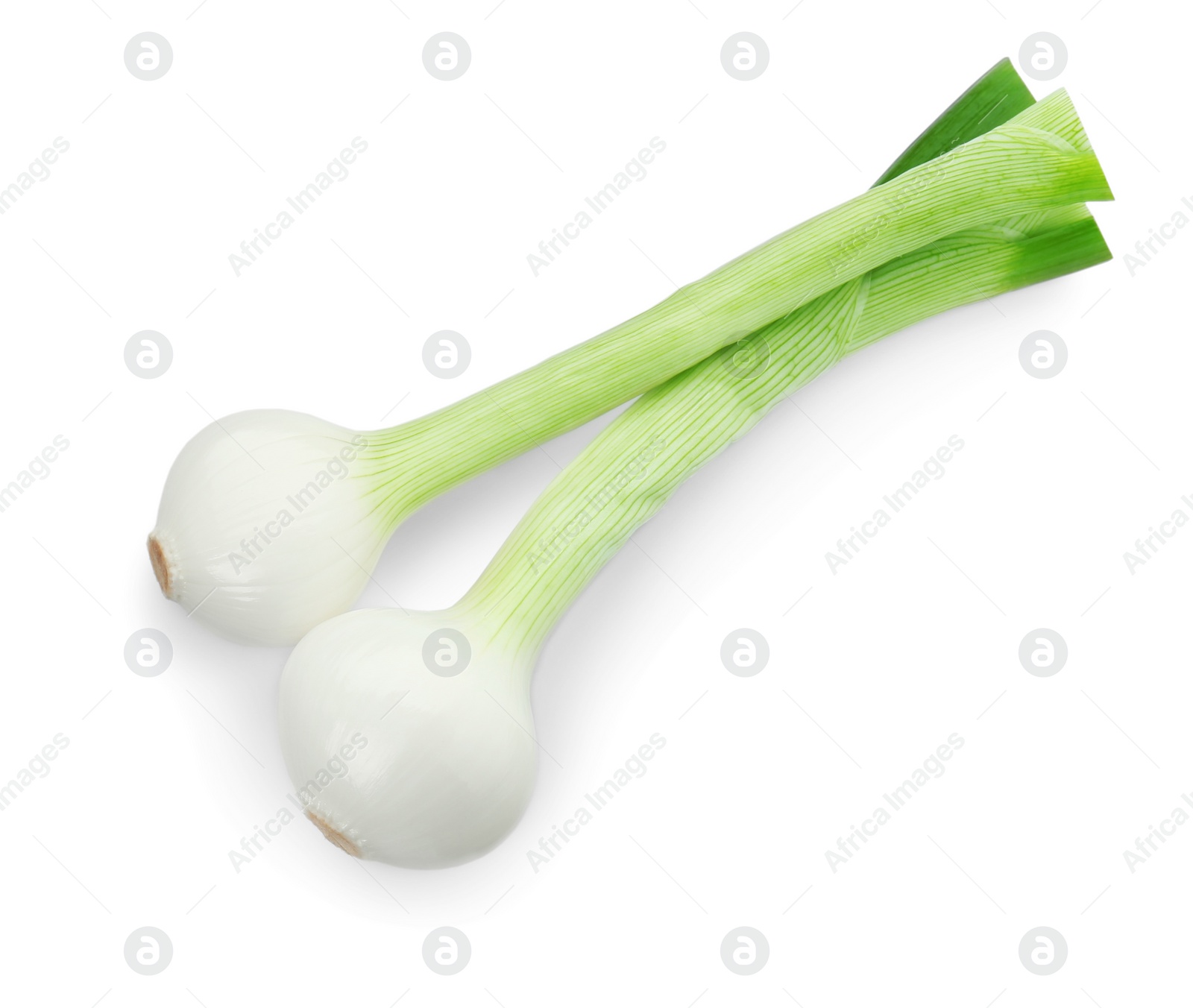 Photo of Whole green spring onions isolated on white, top view