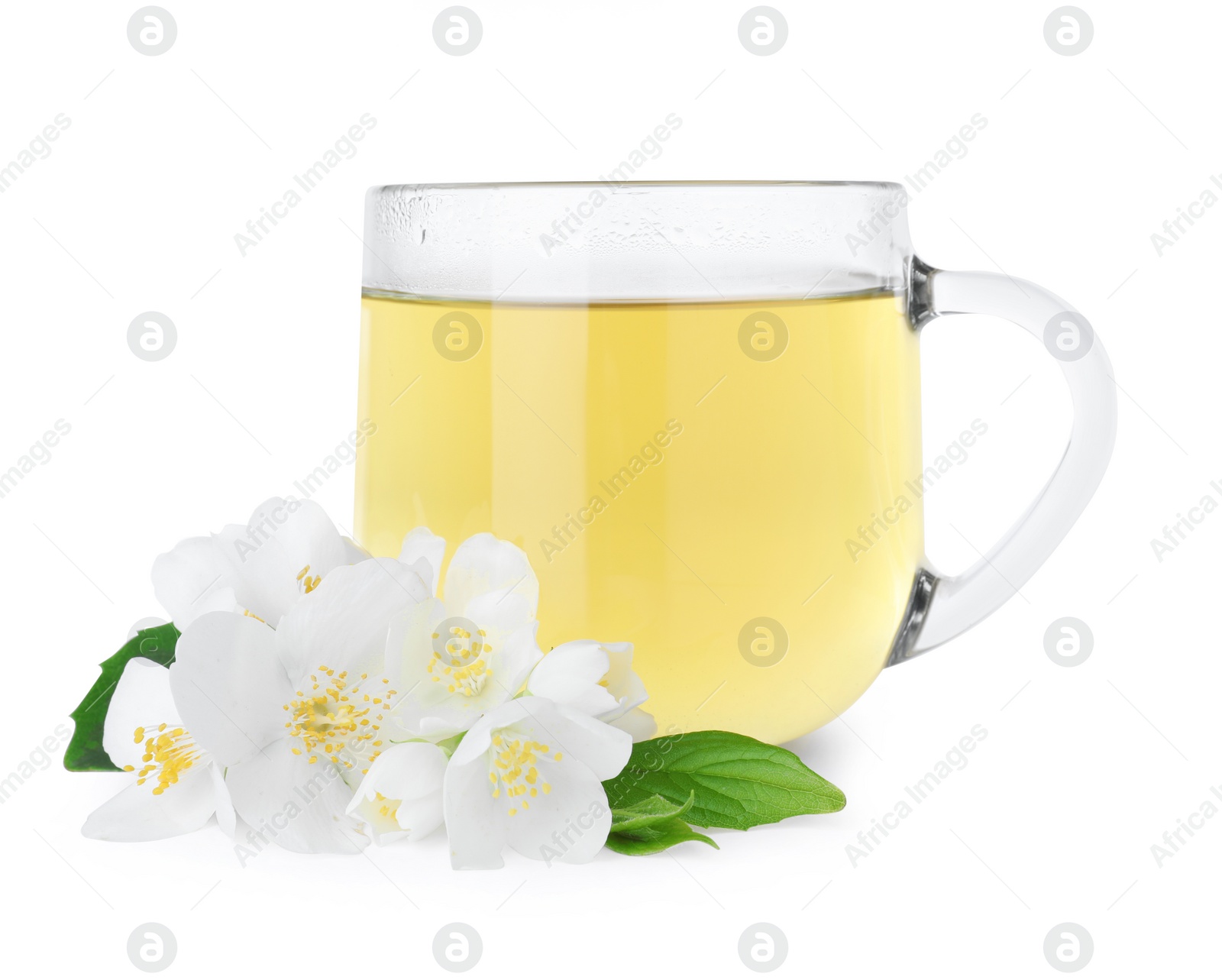 Photo of Cup of tea and fresh jasmine flowers isolated on white