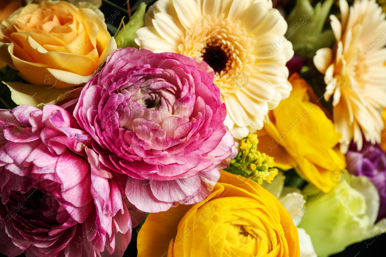 Photo of Beautiful fresh bouquet as background, closeup. Floral decor