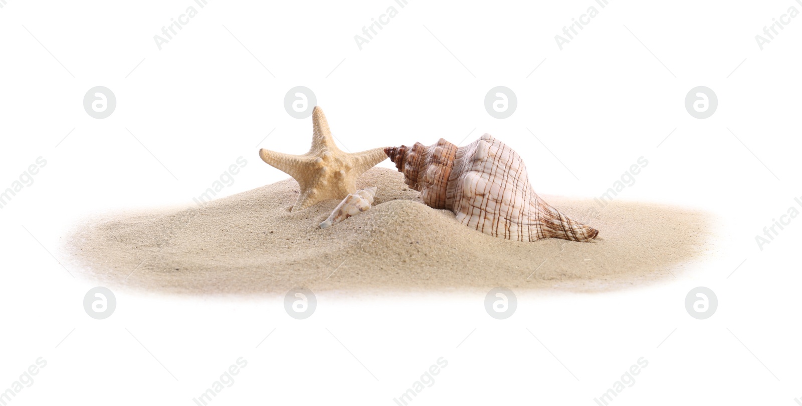 Photo of Beautiful exotic sea shells, starfish and sand on white background