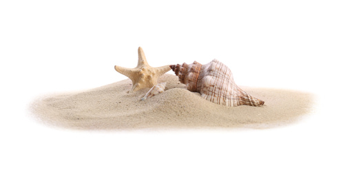 Beautiful exotic sea shells, starfish and sand on white background