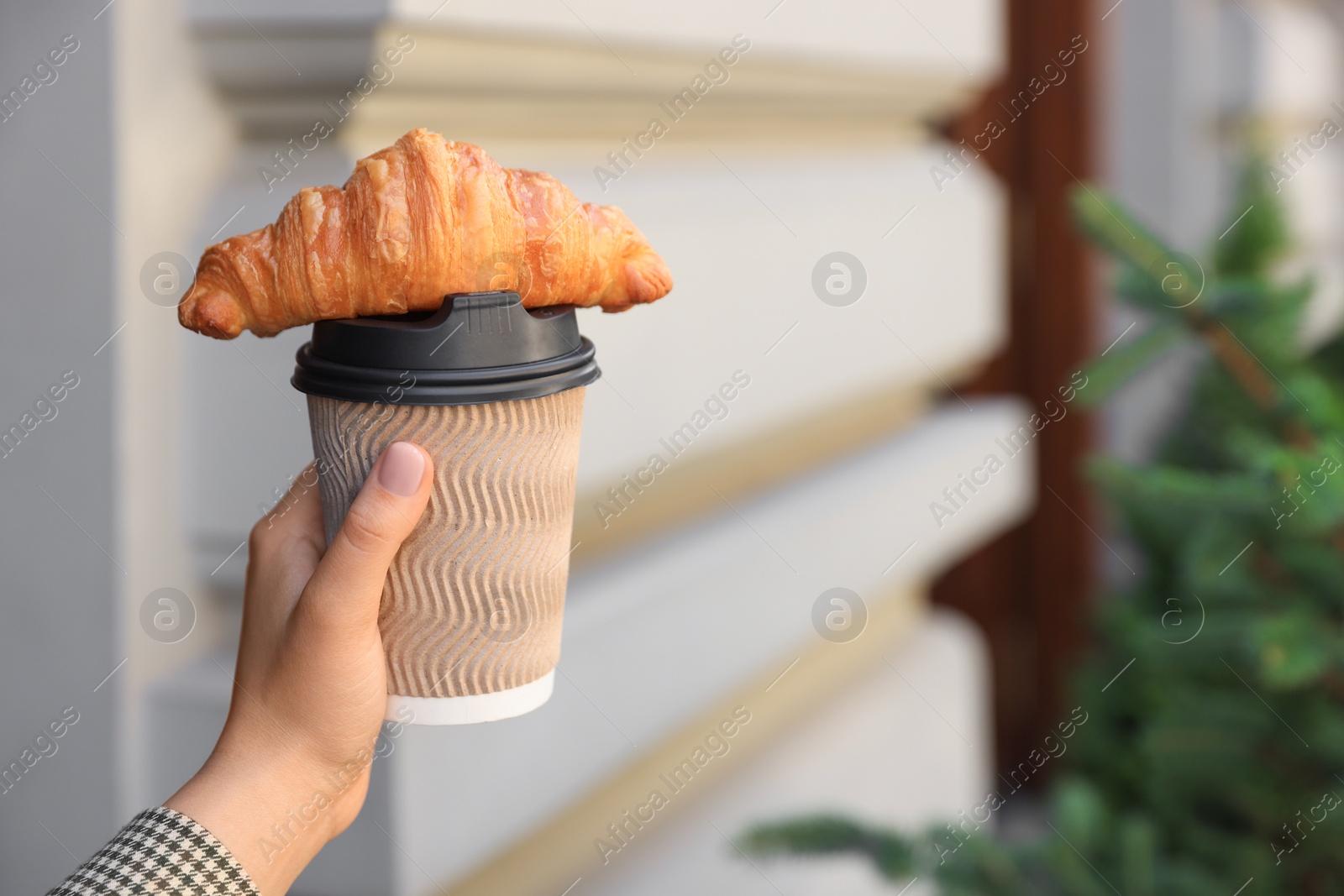 Photo of Woman holding tasty croissant and paper cup of coffee outdoors, closeup. Space for text