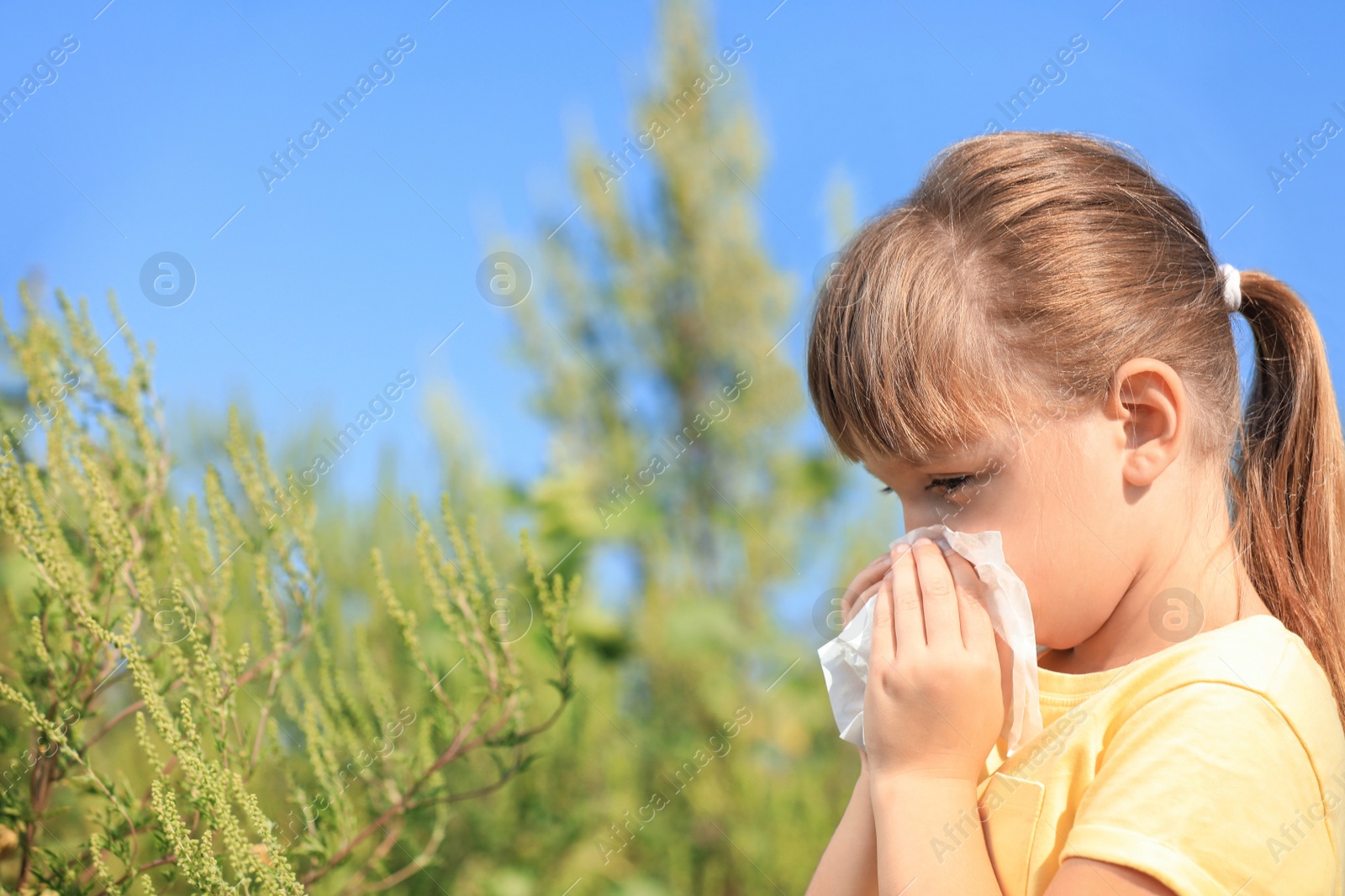 Photo of Little girl suffering from ragweed allergy outdoors