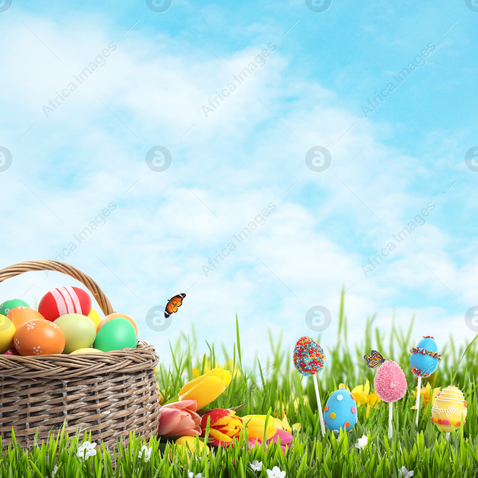 Image of Wicker basket with Easter eggs, cake pops and flowers in green grass against blue background, space for text