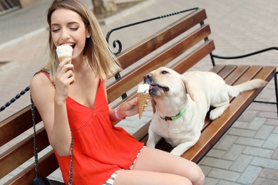 Owner treating her yellow labrador retriever with ice-cream outdoors