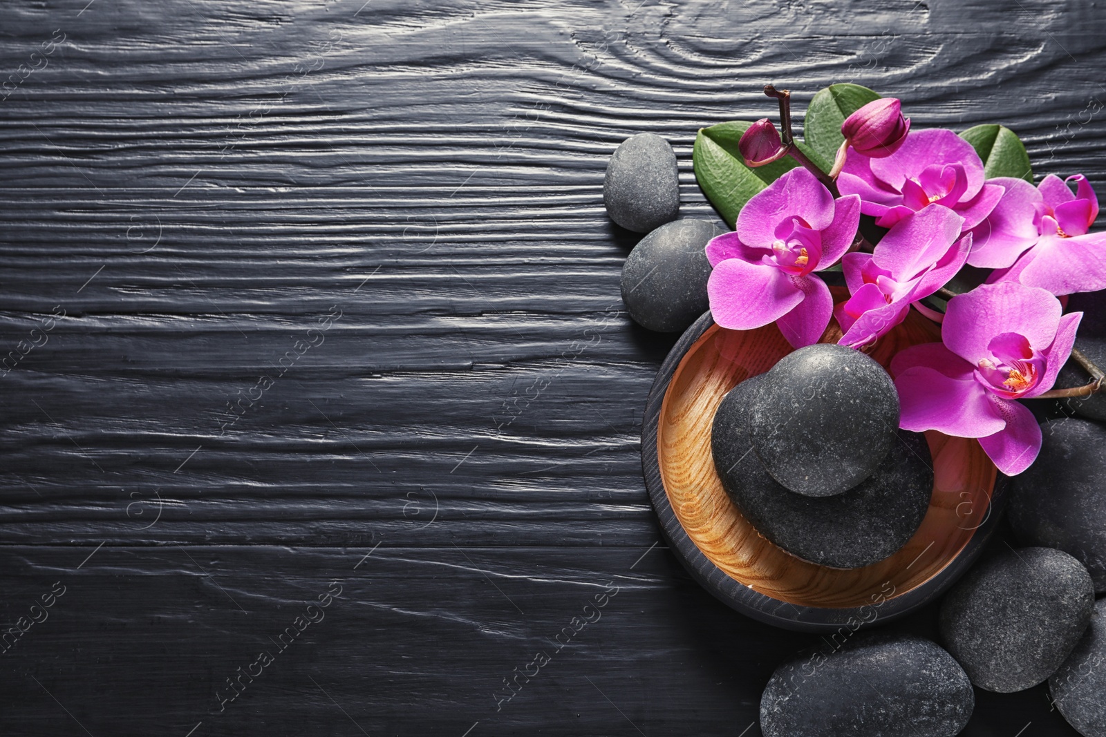 Photo of Composition with orchid flowers and spa stones on dark wooden background, top view. Space for text