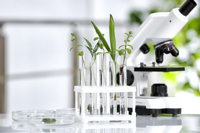 Photo of Laboratory glassware with different plants and microscope on table against blurred background. Chemistry research