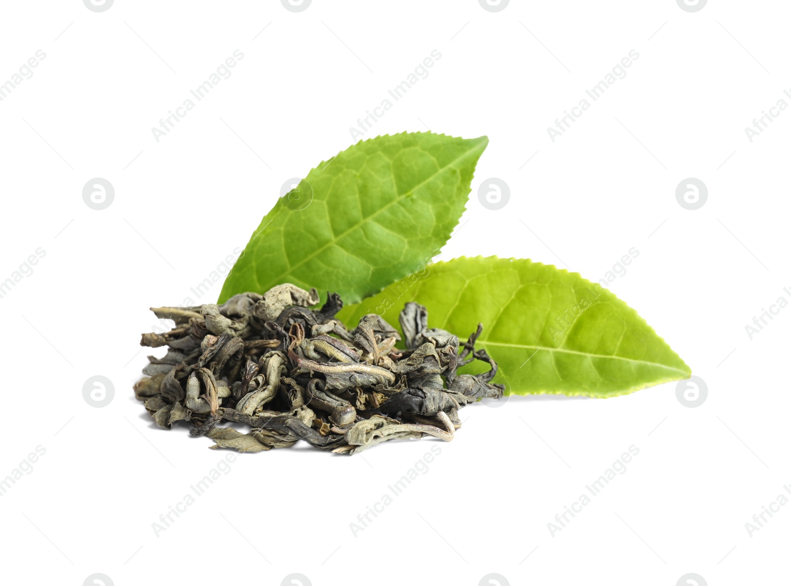 Photo of Dry and fresh tea leaves isolated on white