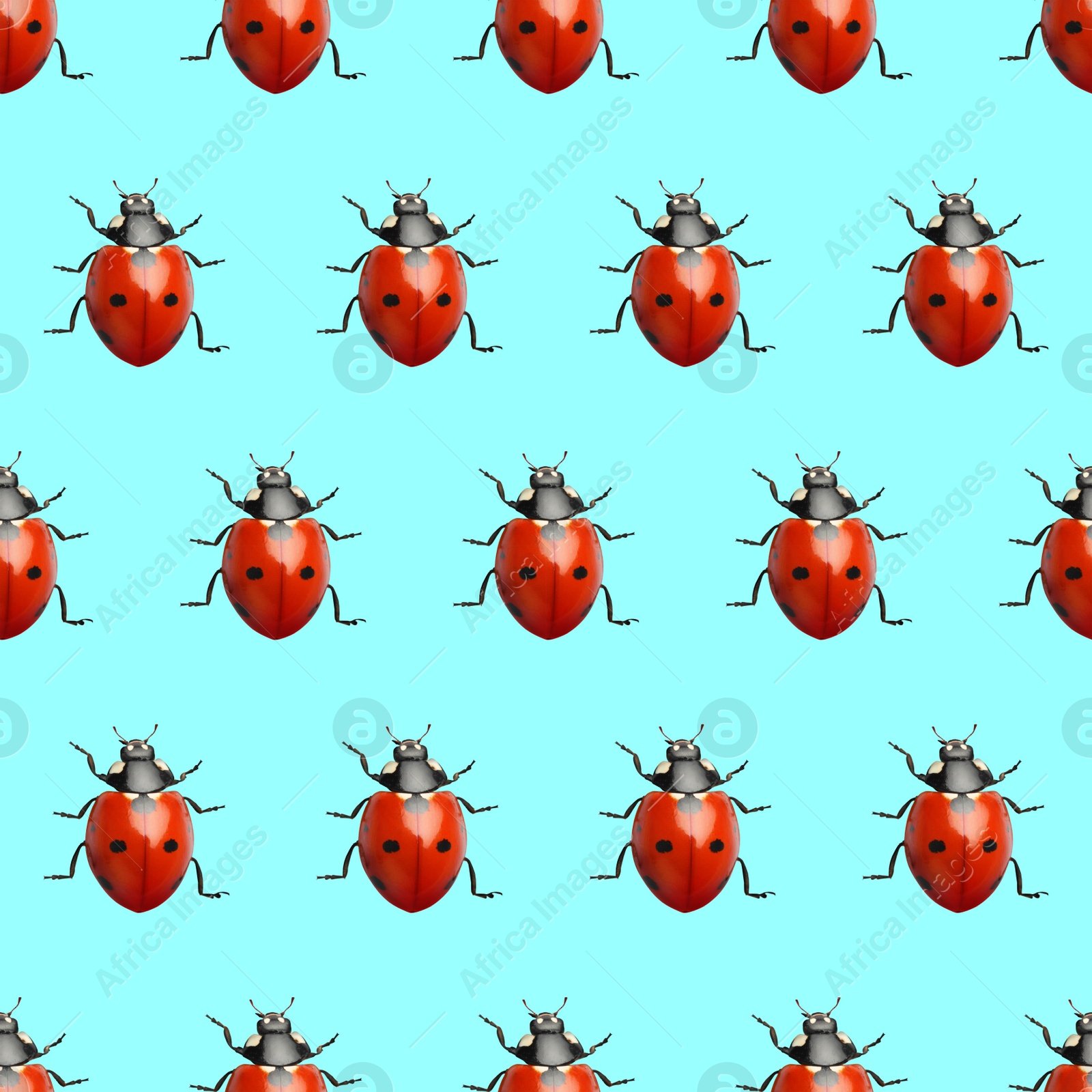 Image of Many red ladybugs on turquoise background, flat lay 