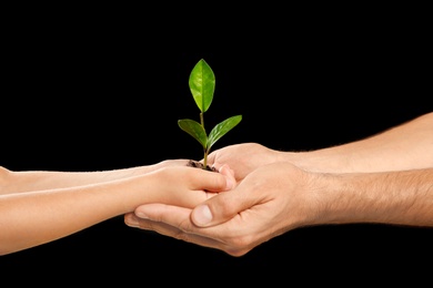 Photo of Man and his child holding soil with green plant in hands on black background. Family concept