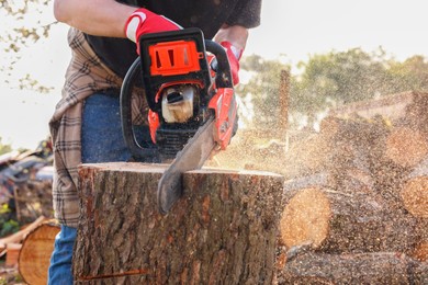 Man sawing wooden log on sunny day, closeup