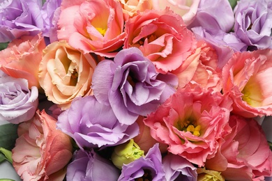 Photo of Beautiful fresh Eustoma flowers as background, closeup view