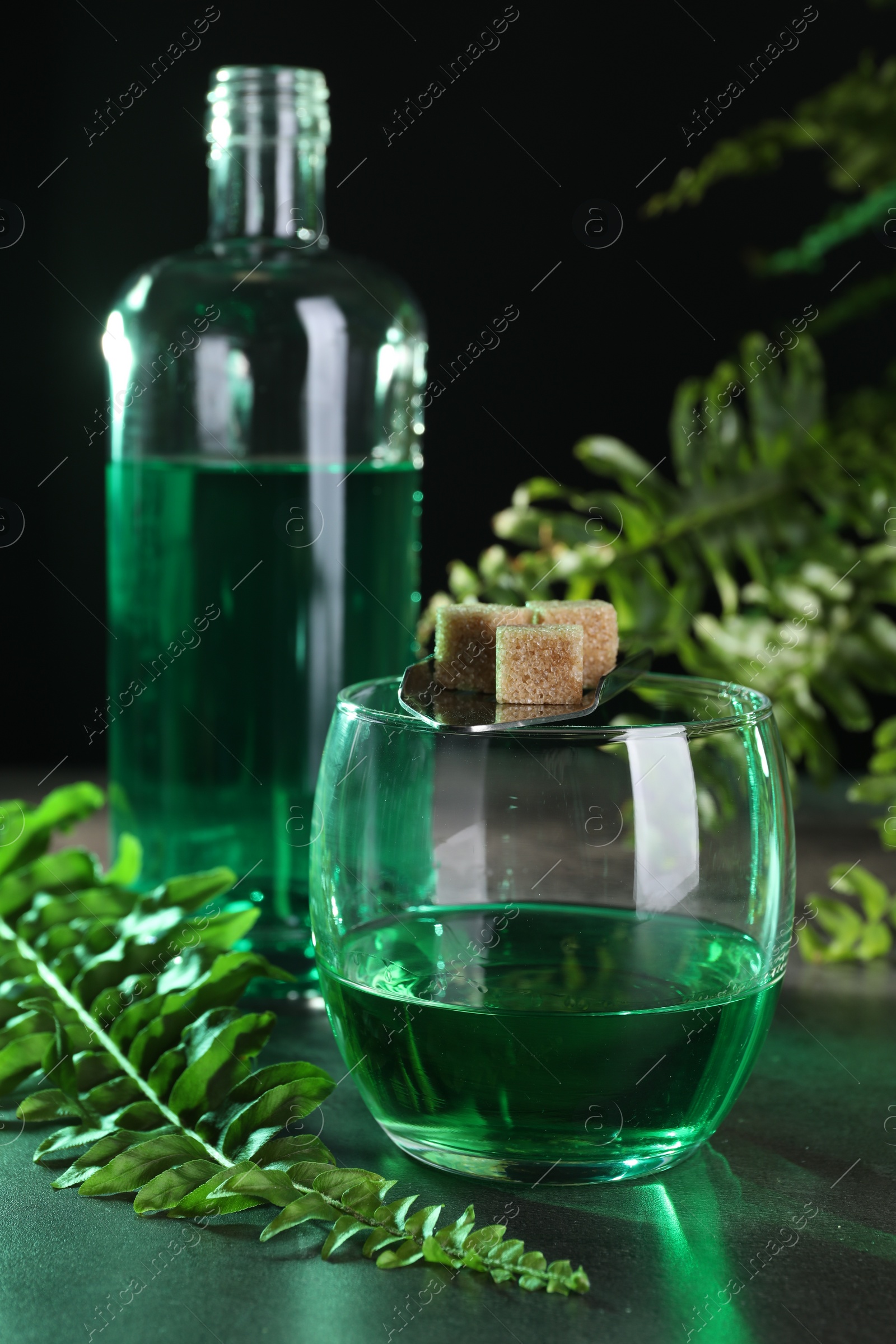 Photo of Absinthe in glass, spoon with brown sugar cubes and fern leaves on gray table against black background. Alcoholic drink