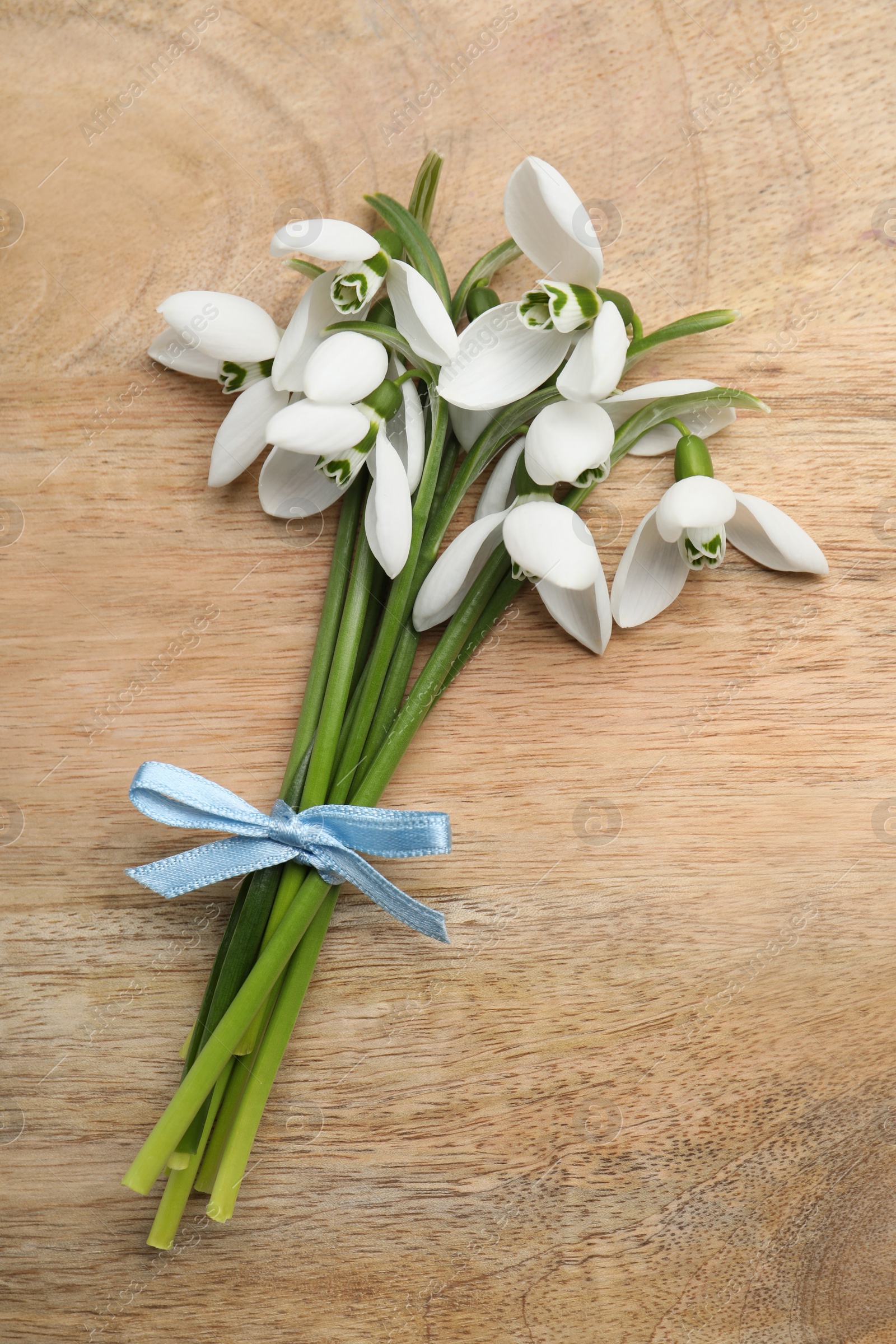 Photo of Beautiful snowdrops on wooden table, top view