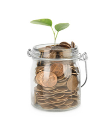 Photo of Glass jar with coins and plant isolated on white