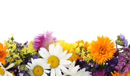 Photo of Bunch of beautiful wild flowers on white background