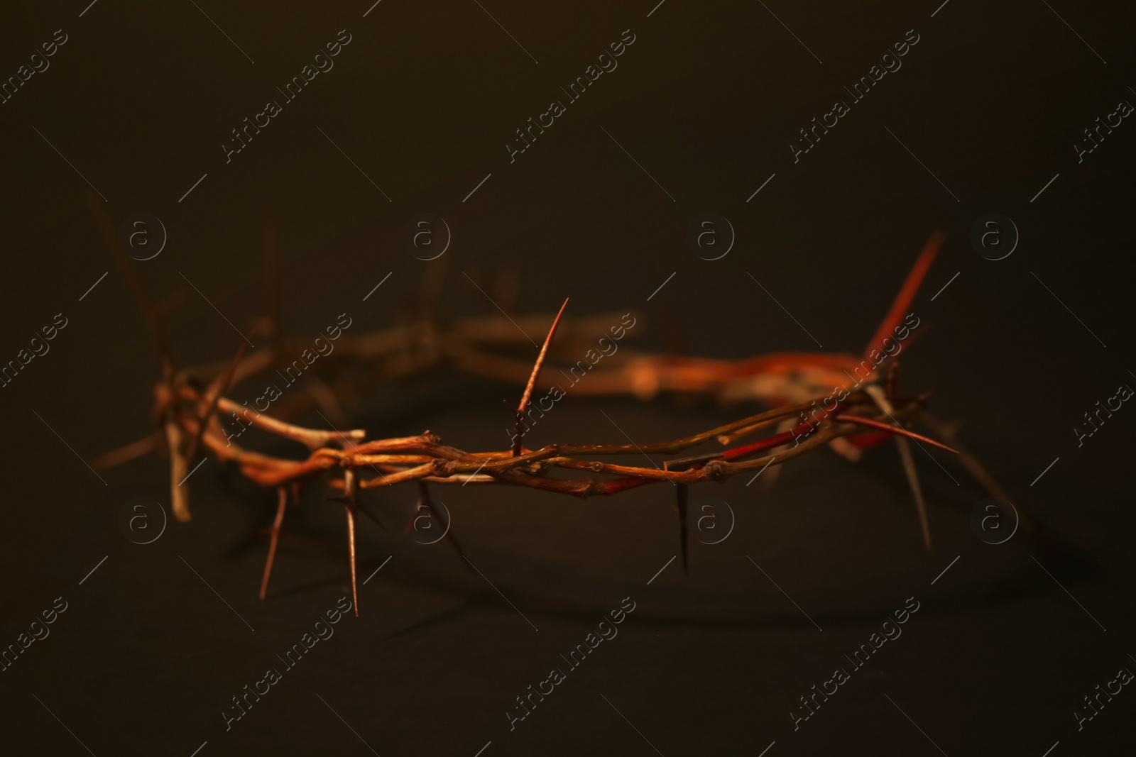 Photo of Crown of thorns on dark background, space for text. Easter attribute