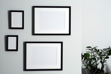 Photo of Different empty frames hanging on white wall near houseplant