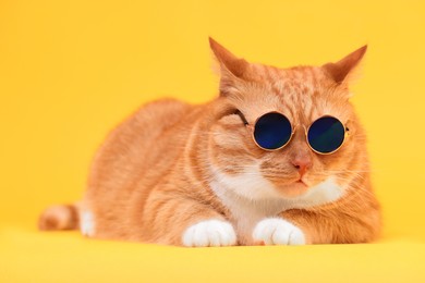 Cute ginger cat in stylish sunglasses on yellow background