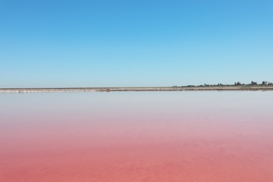 Beautiful view of pink lake on summer day