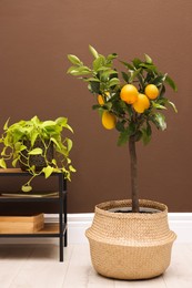 Photo of Simple room interior with small potted lemon tree  and console table