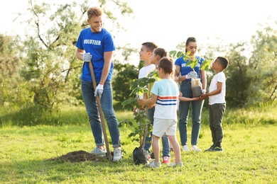 Photo of Kids planting trees with volunteers in park