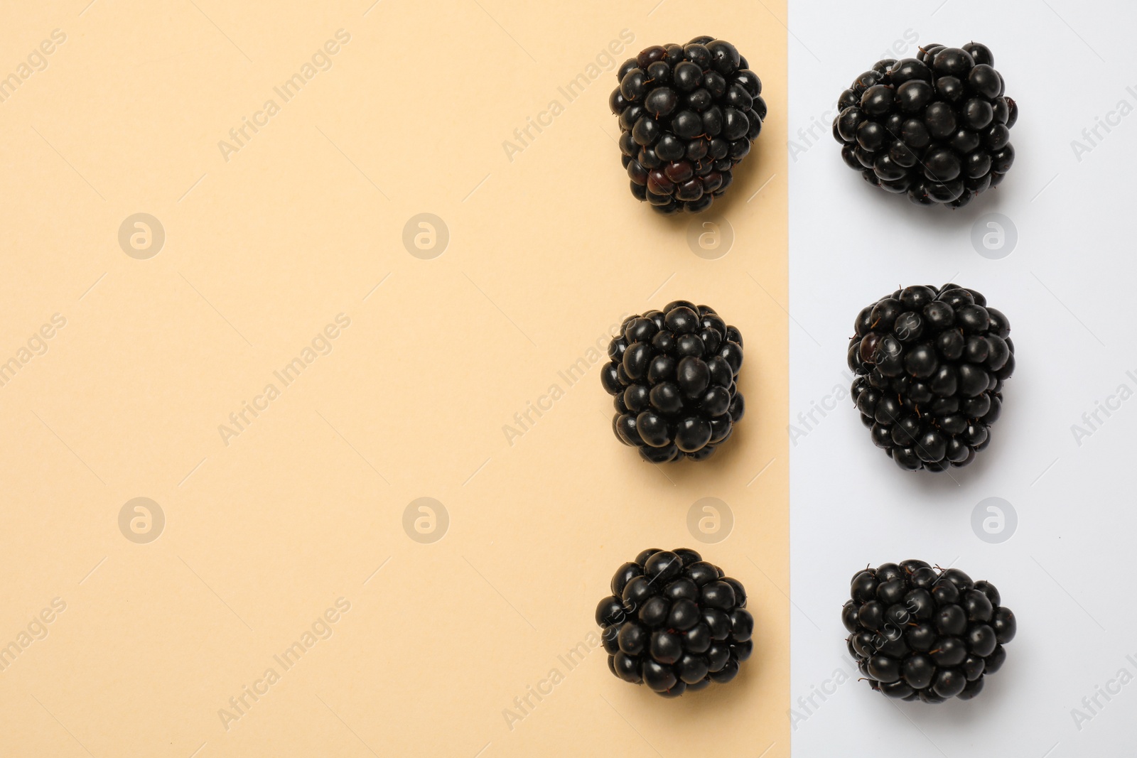 Photo of Flat lay composition with ripe blackberries on color background