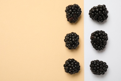 Photo of Flat lay composition with ripe blackberries on color background