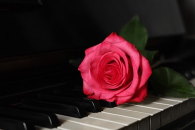 Photo of Beautiful pink rose on piano keys, closeup