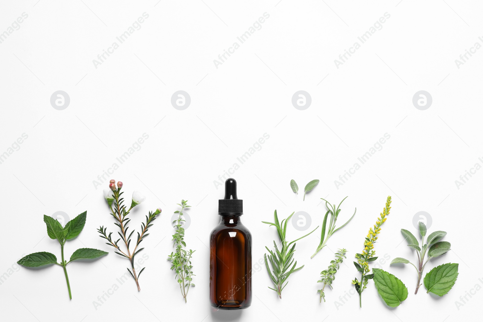 Photo of Bottle of essential oil and different herbs on white background, flat lay. Space for text