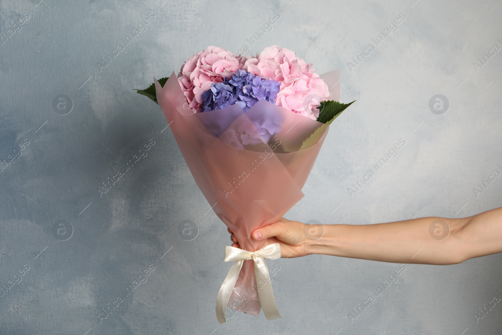 Photo of Woman with bouquet of beautiful hortensia flowers on color background, closeup