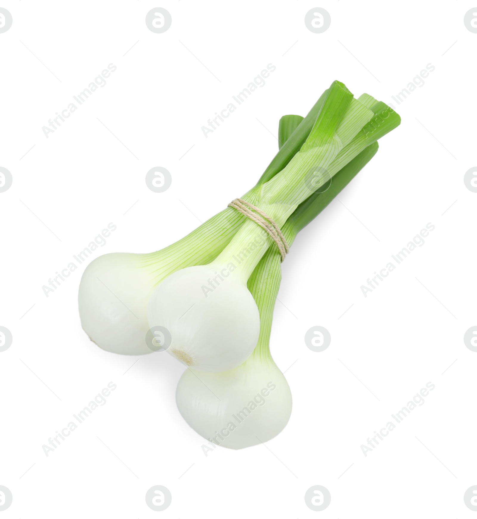 Photo of Bunch of fresh green spring onion isolated on white, top view