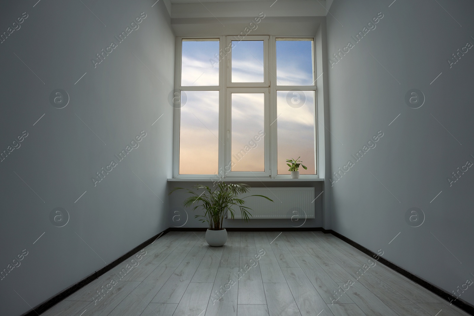 Photo of Empty office room with windows and potted houseplants