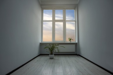 Empty office room with windows and potted houseplants