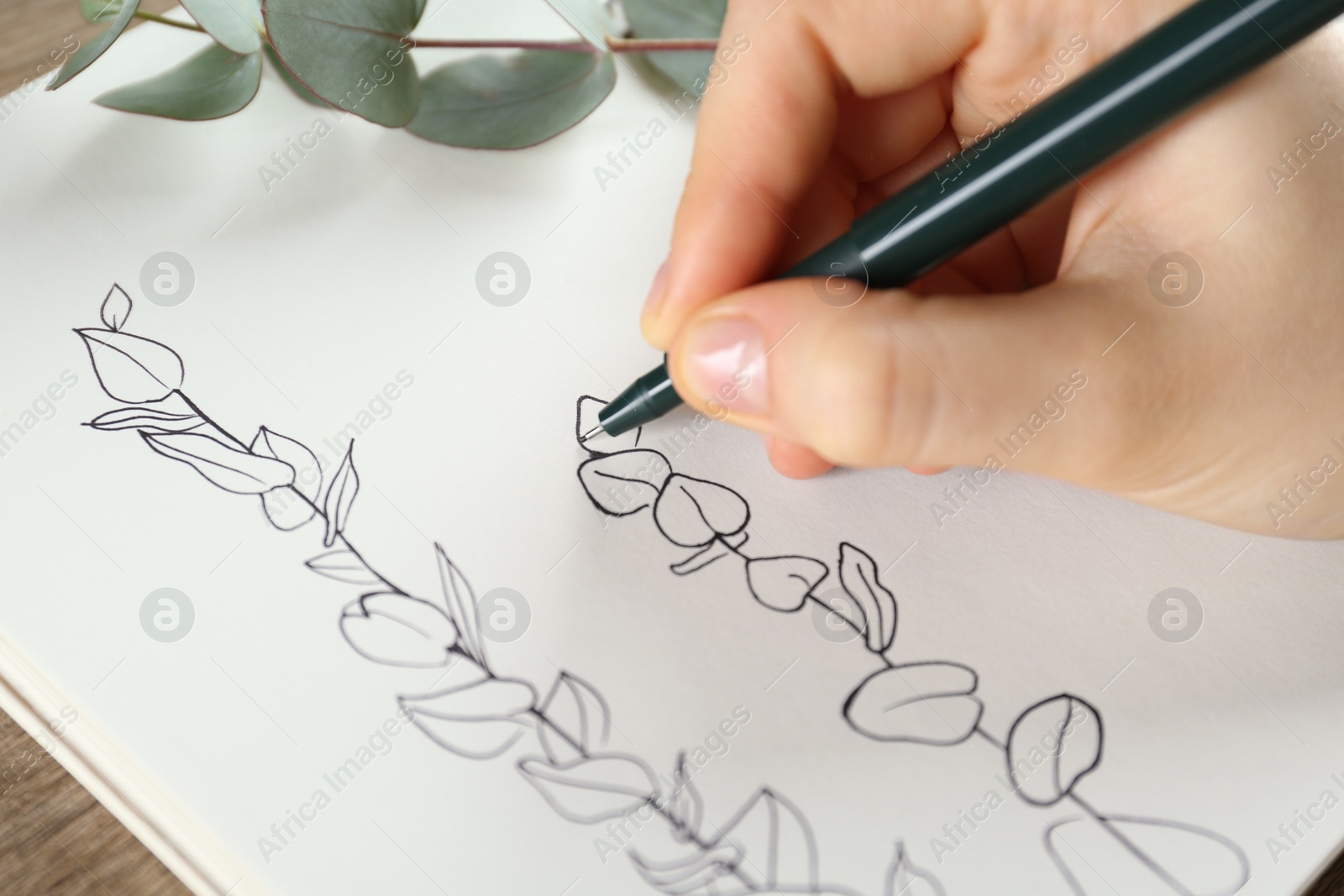 Photo of Woman drawing beautiful eucalyptus branches in sketchbook at wooden table, closeup